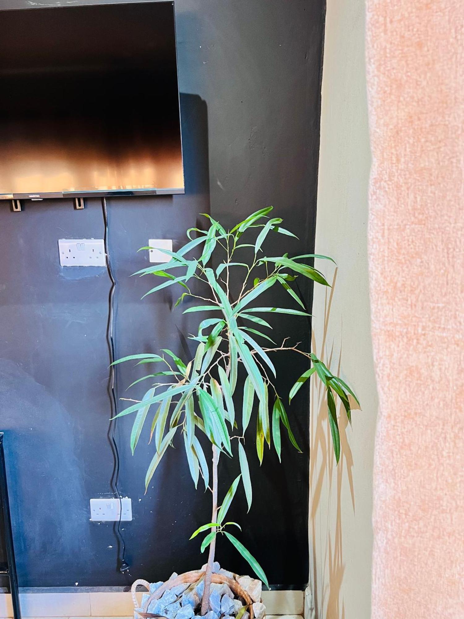 ليلونغوي The Shed Venue & Boutique Hotel المظهر الخارجي الصورة